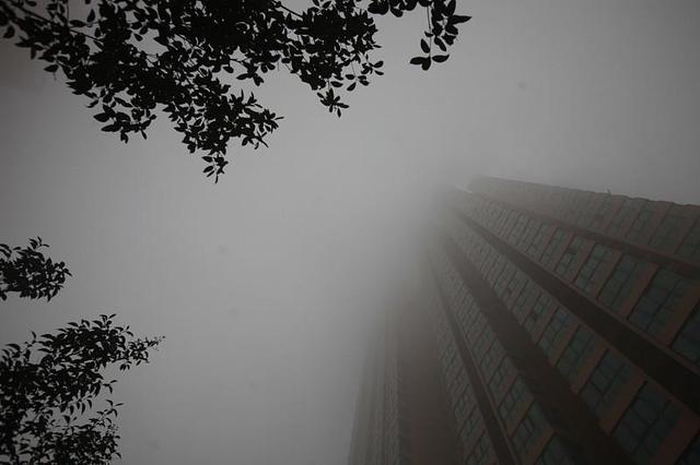 「大雾预警」9月20日卢氏县气象局发布大雾黄色预警「III级/较重」